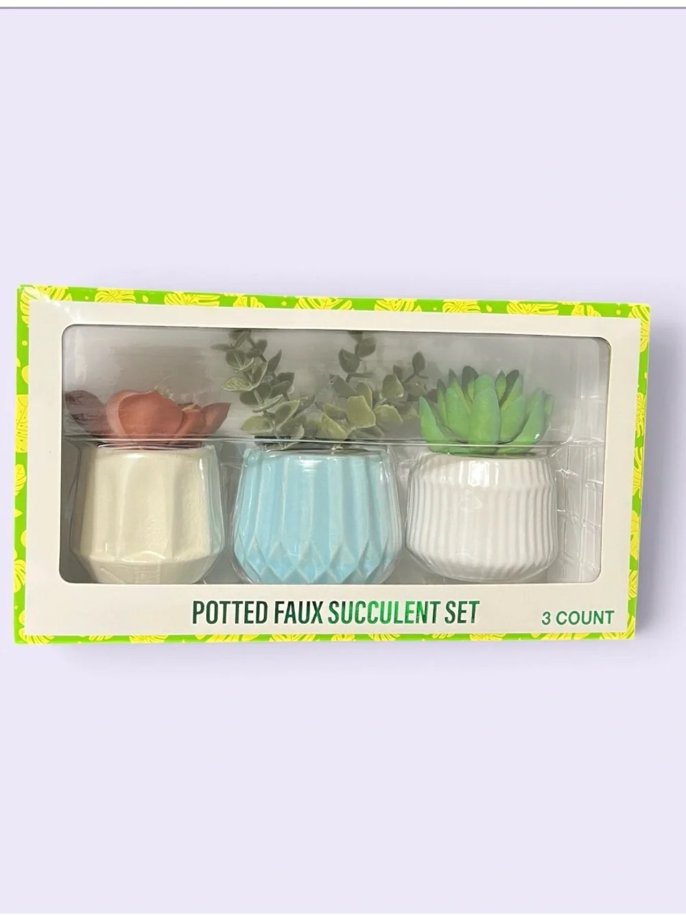 Festive choice Potted Faux Succulent Set - Cream, Blue, White